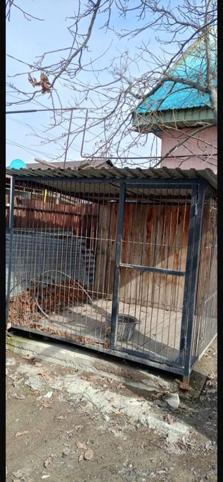 Вольер для собак