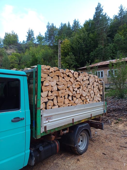 Lemne de foc fag capete uscate sau verzi 600lei tona sau la metru ster