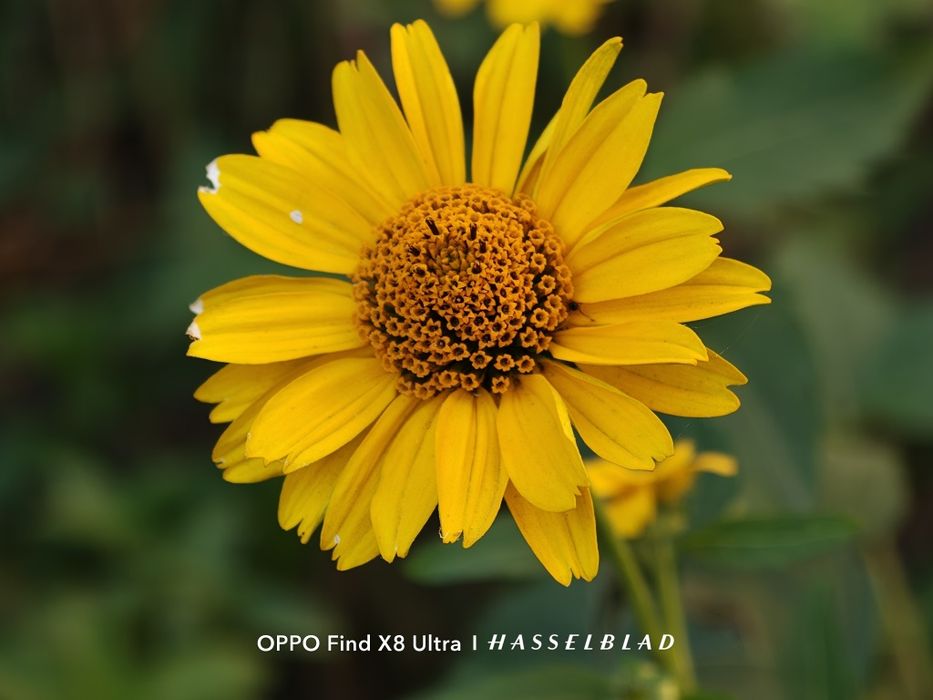 Oppo find x8 ultra