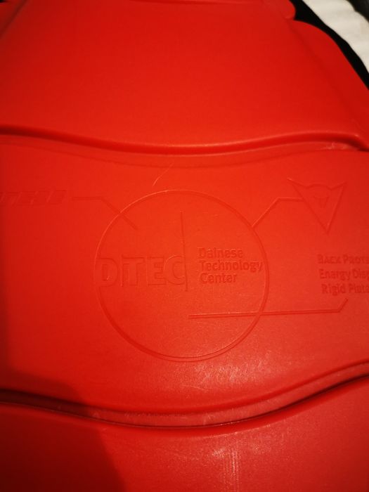 Protectie spate Dainese Back protector Ski Schi Snowboard Mtb Copii