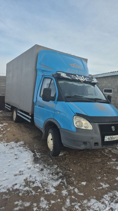 Газел жақсы жағдайда