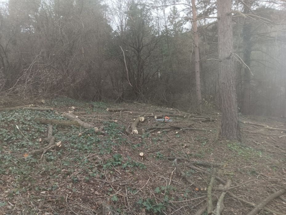 Почистване на парцели имоти дворове