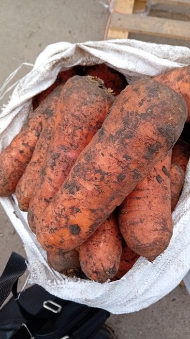 Ceapă calitate 1 -1.4lei  kg morcov 1.5 lei kg