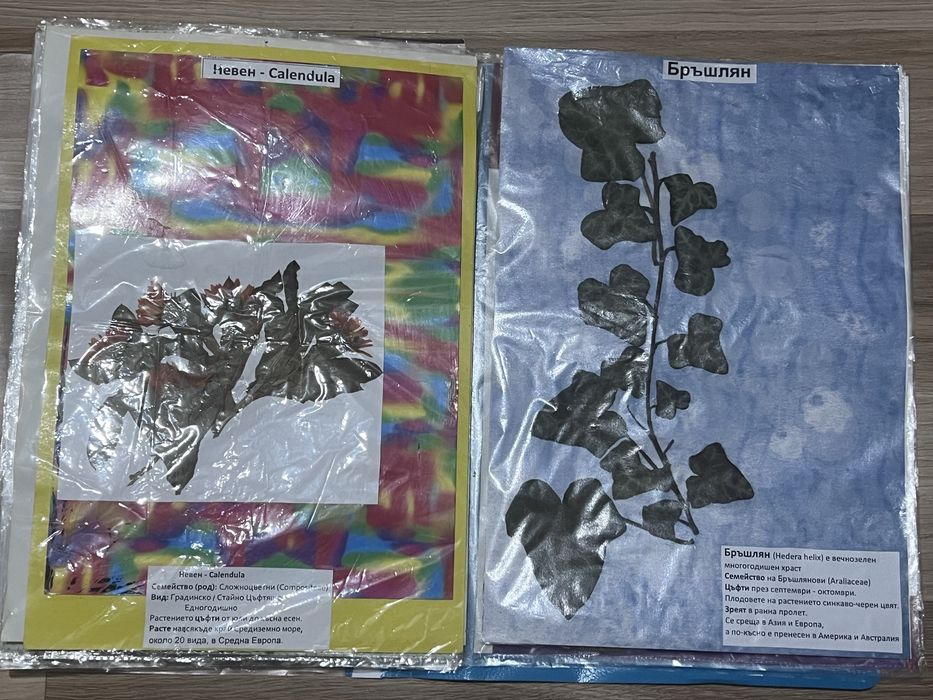 Хербарий 7 клас по Биология