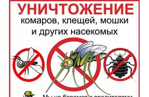 Дезинфекция хизматлари сичкон каламуш таракан клопа ва бошкалар