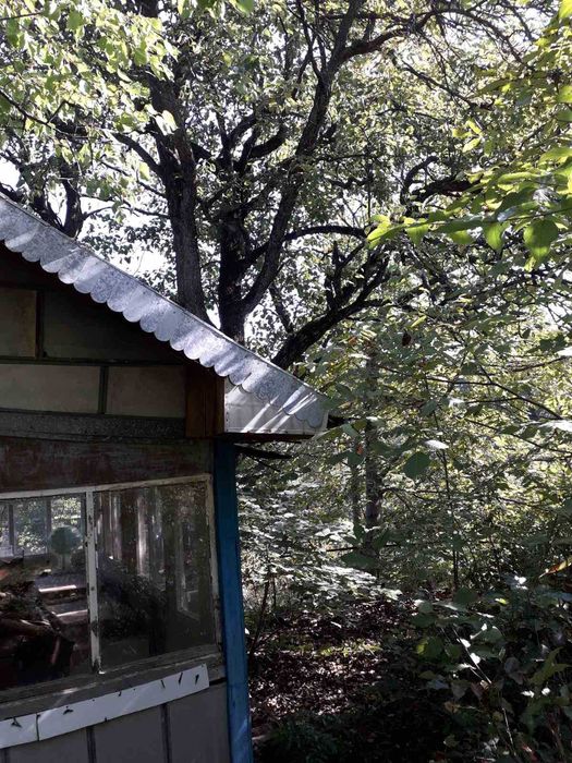 Продава се Земеделски имот в Враца, Вежен -  кв.м за 12750 €/дка - Снимка #5