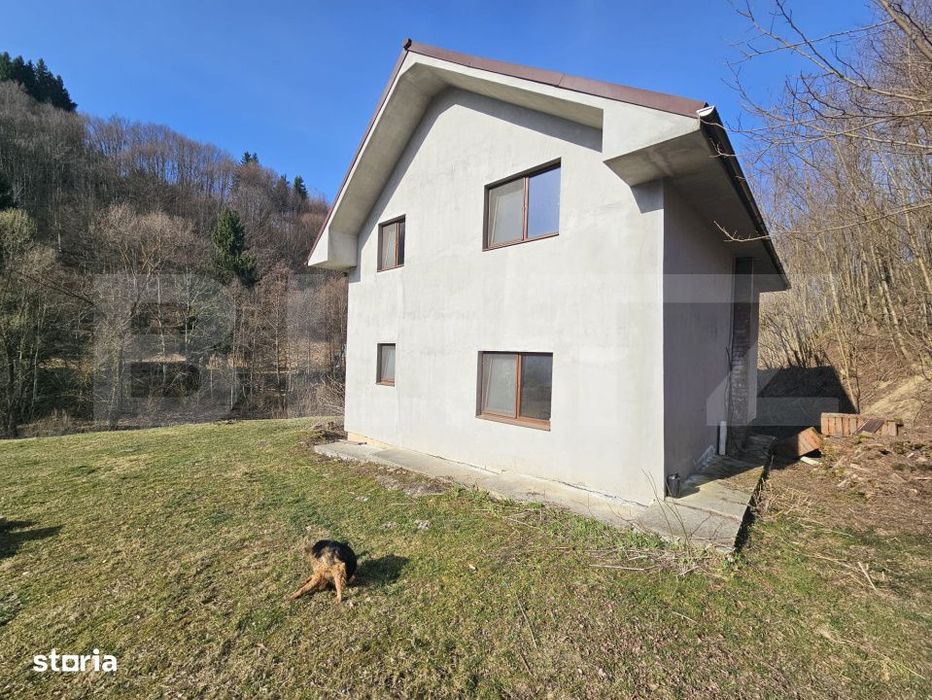 Casa de vacanta-Exclusivitate-Cumparator Comision 0-Sat Fiad ( Comuna