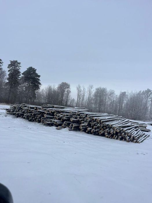 Кругляк,Доска есть в наличии