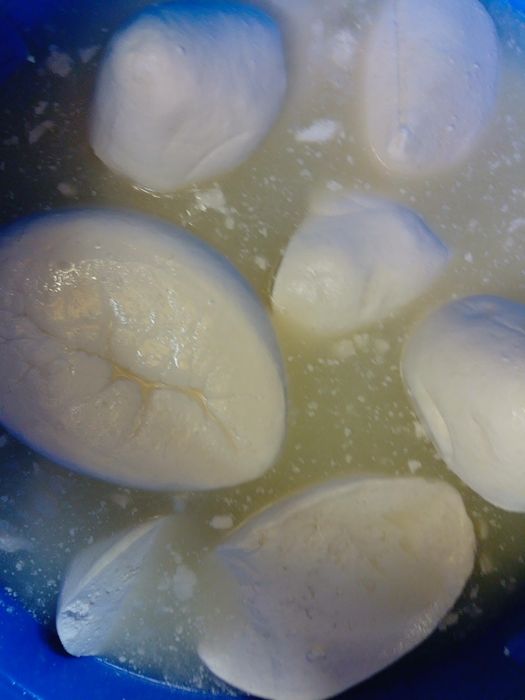 Vând brânză de capră