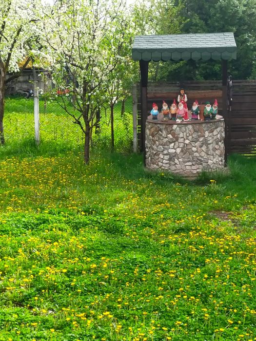 Acoperiș fântână