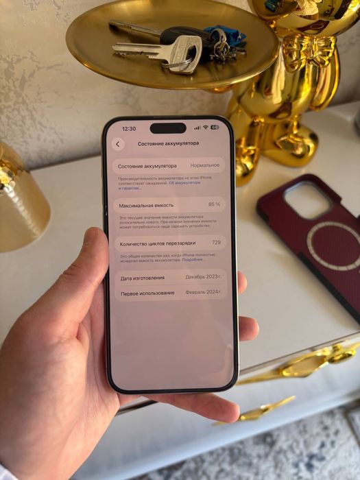 Iphone 15 pro max sim
