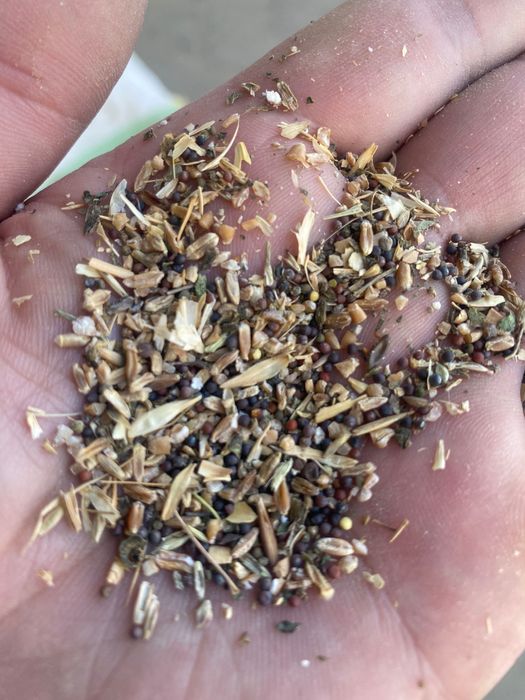 бугдой ем  тоза  сифатли