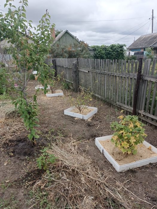 Продам/сдам  дачу на Кск