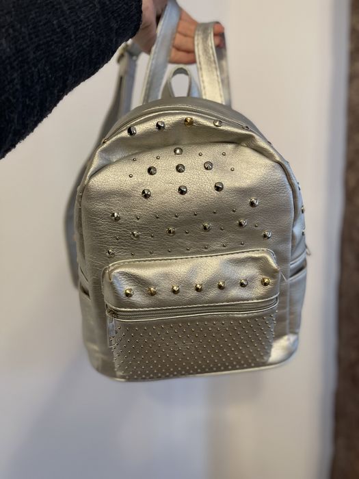 Ghiozdanel argintiu cu tinte