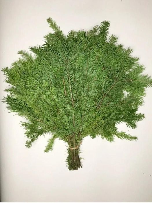 Пихтовый веник для бани