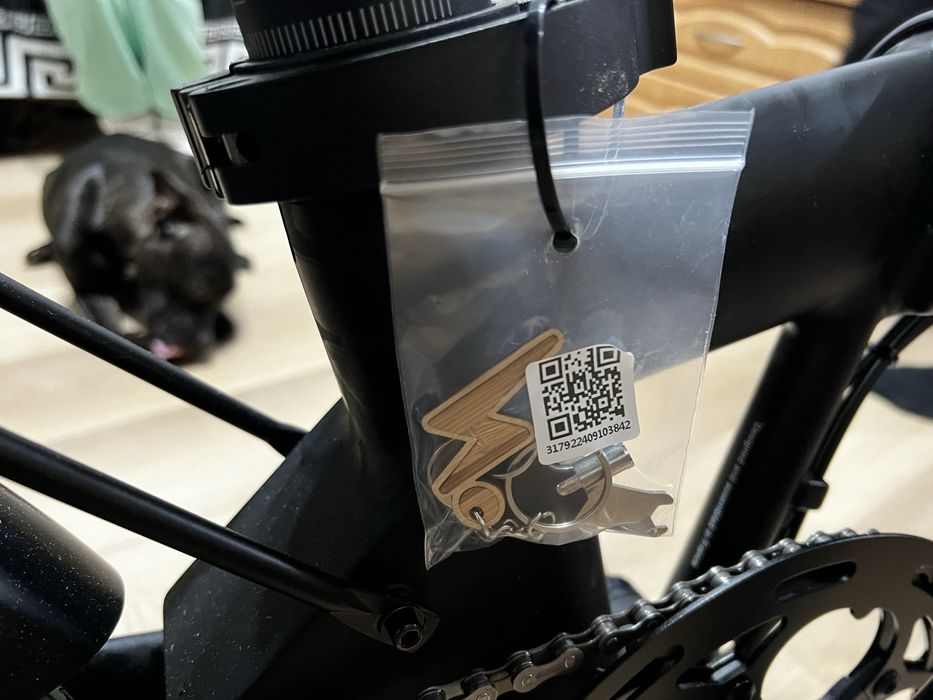 Bicicletă electrică pliabilă OG20