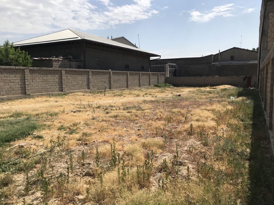 Nazarbek Pushkinda Yer Sotiladi