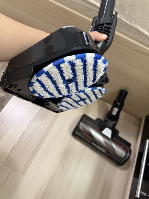 Vand Rowenta X-Force Flex 14.80