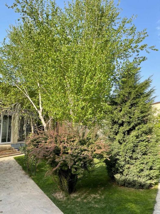 Продается ДОМ, 5 комнат,6 соток, М-Улугбекский район