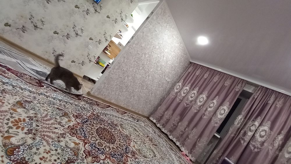 Продам шторы в идеальном состоянии