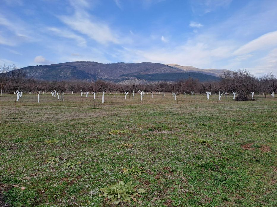 Земеделска земя (овошна градина)в село Коняво обл. Кюстендил