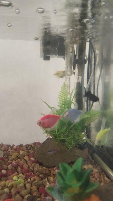 Продам аквариум.