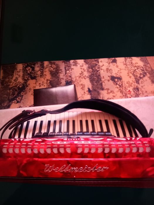 Acordeon  de vanzare120 basi acordeonul are burduf original are compre