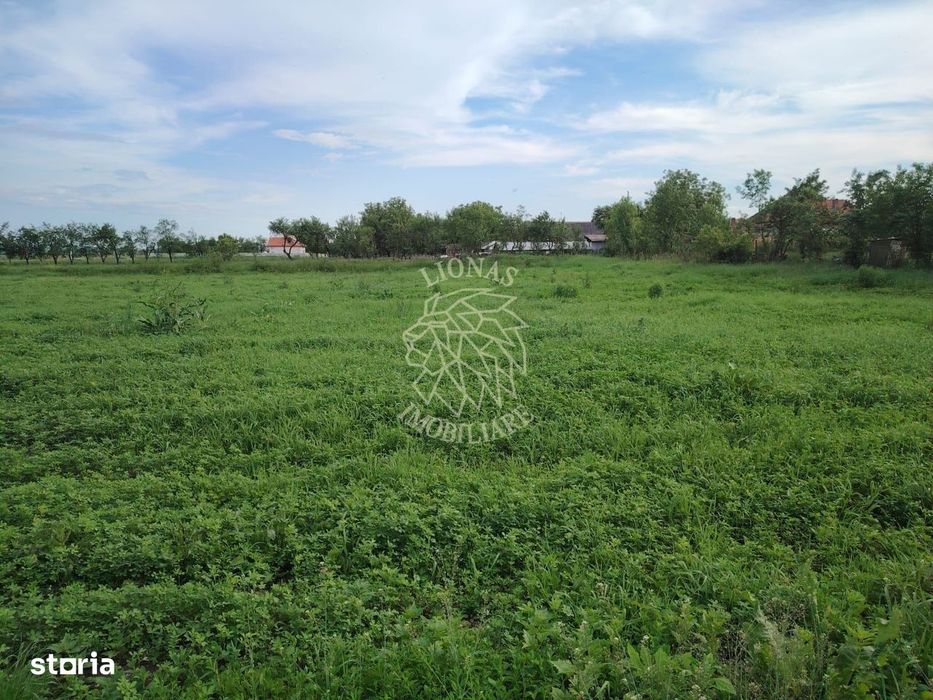 Oportunitate investitie 5 parcele teren intravilan ideal case/servicii