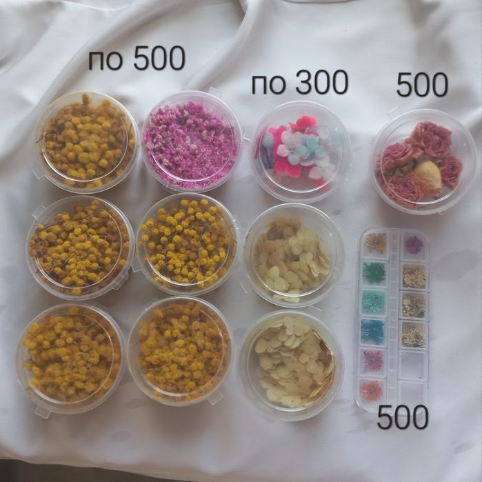 Молды и сухоцветы