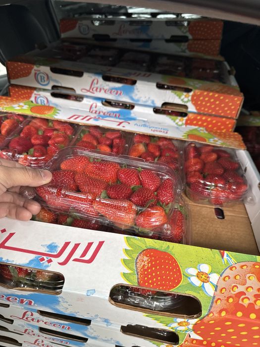 Продаю клубнику ящик