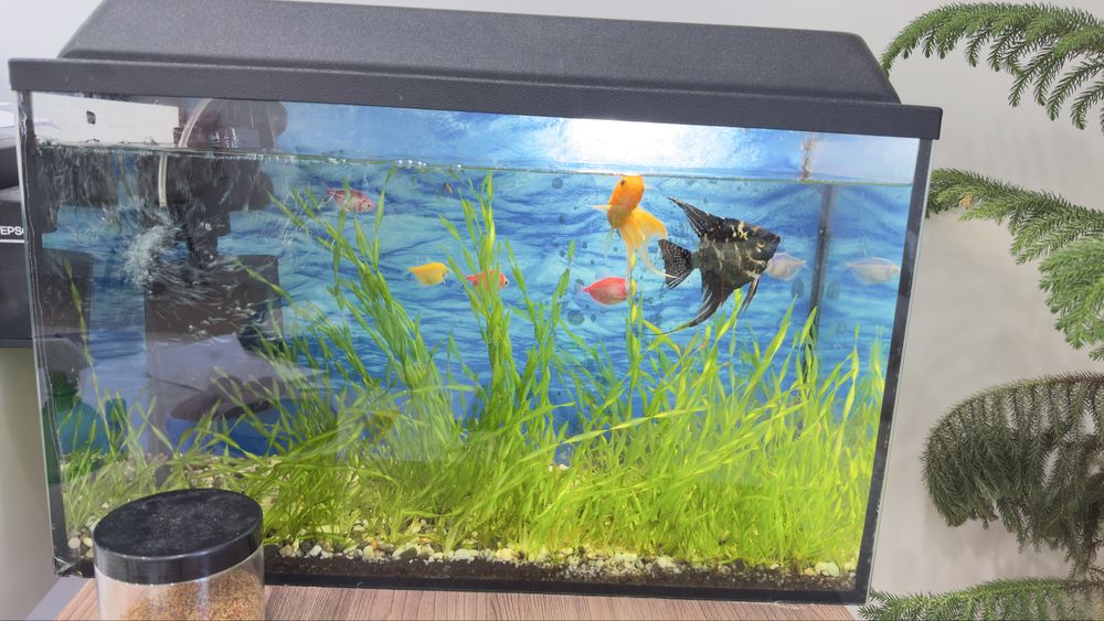 Продам аквариум с рыбками