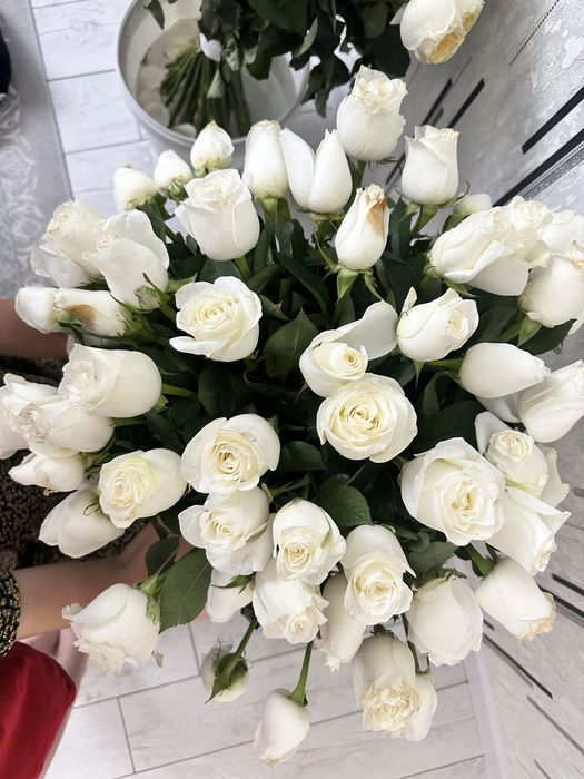 Цветы Гүлдер 51 шт роза