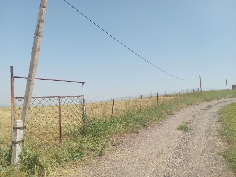 Dachniy yer sotladi 6 sotik