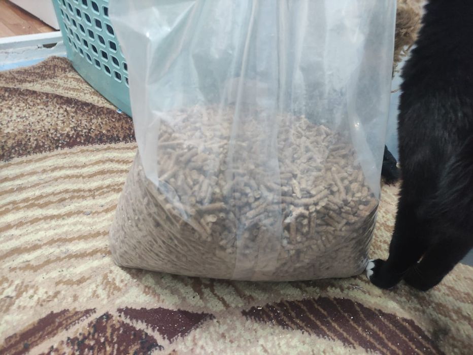 Отдам кота в добрые руки