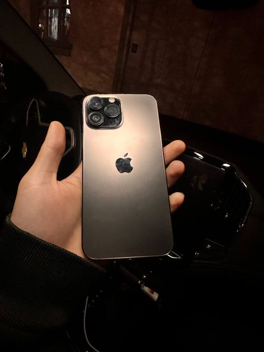 Iphone 13 pro max 256 gb,dual