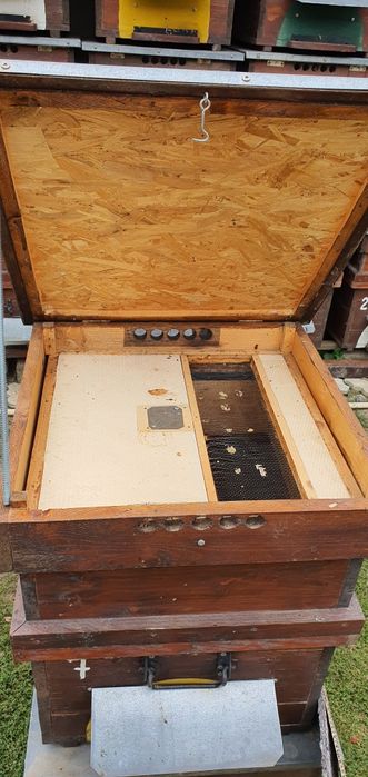 Vând stupi 12 rame cu cat 1/2