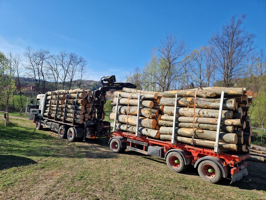 Lemn foc fag, transport inclus! Doar localitățile enumerate!tl