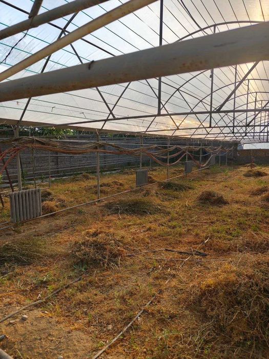 Продается парник на 7 соток или сдам в Аренду