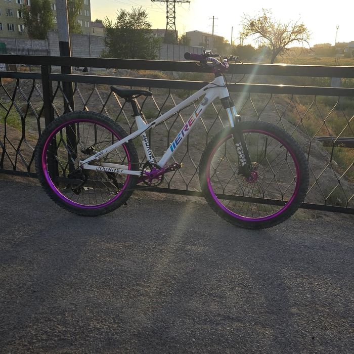 Велосипед IIEREC L 100