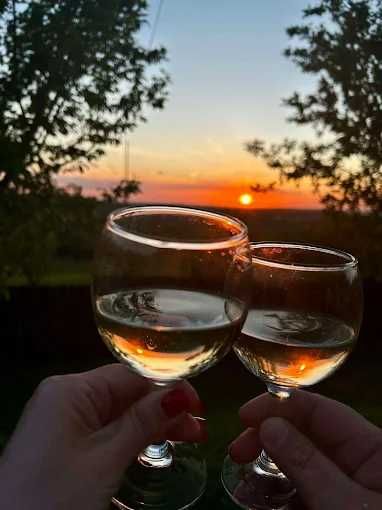 Pensiunea Emelys /Vila/ Cabana integral petreceri, majorate evenimente