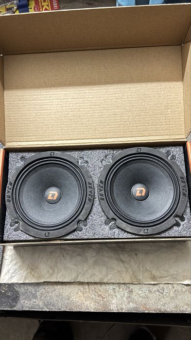 Эстрадные динамики DL AUDIO RAVEN V2 130