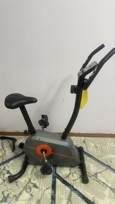 Velotrenajor sotiladii.