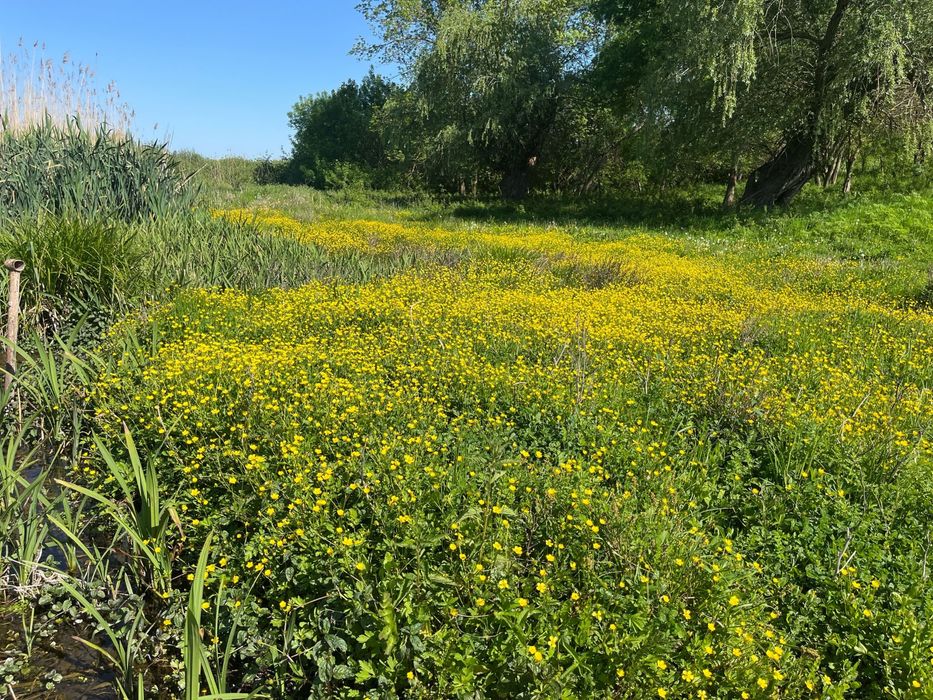 Teren si casă de paianta racordata la curent