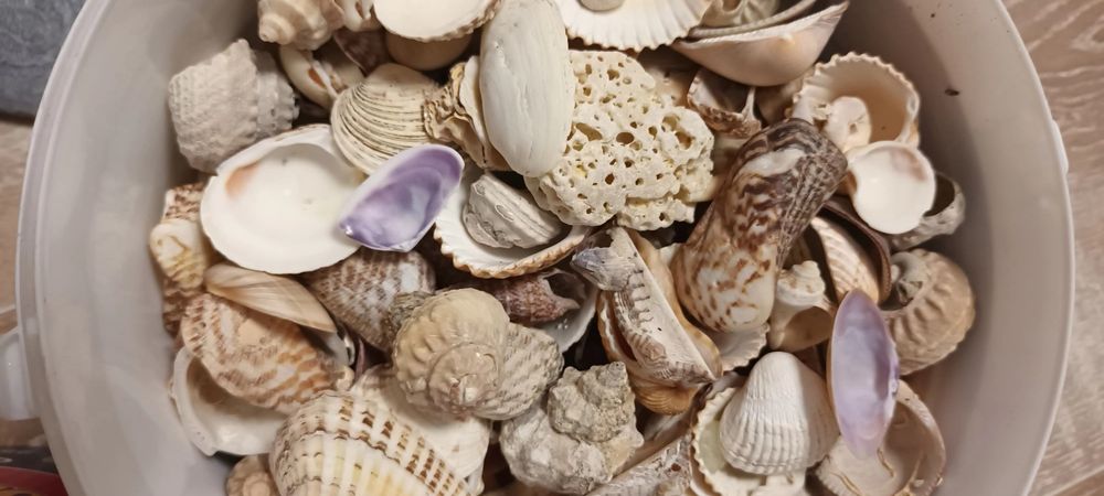 Accesorii acvariu/ terariu