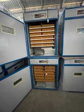 инкубатор (Inkubator) sotiladi !!!  xitoy zavod