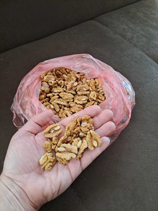 Орехи орехова ядка ядки