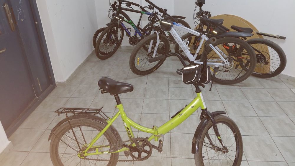 Велик Альтаир зелёный