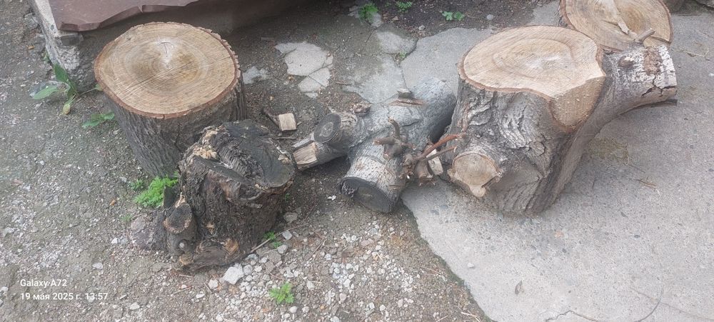 Продам   дрова   пни