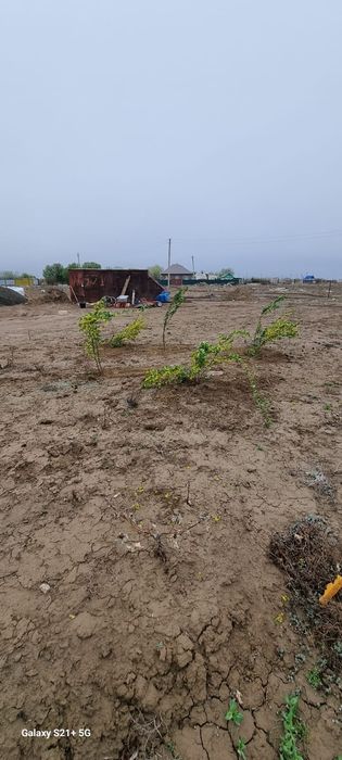 Продается Дачный Участок