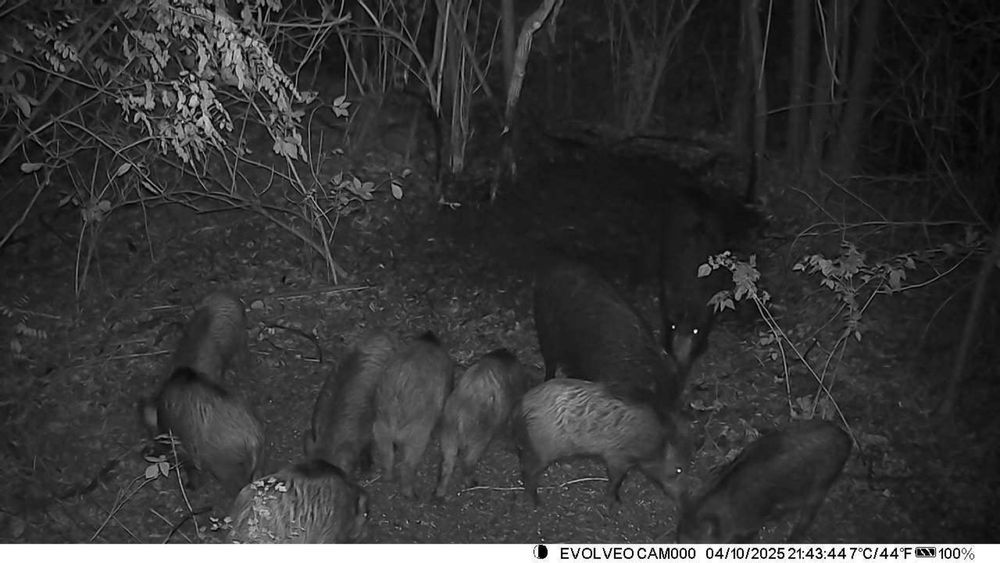 Ловна камера комплект с аклуматор